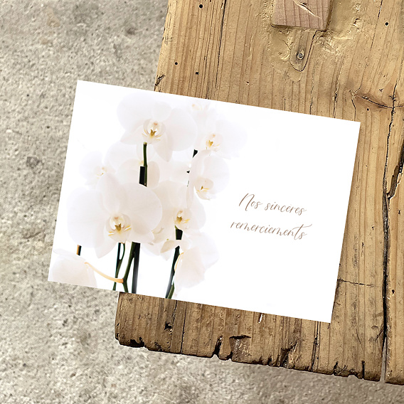 Carte remerciement décès Orchidée Blanche Après 1
