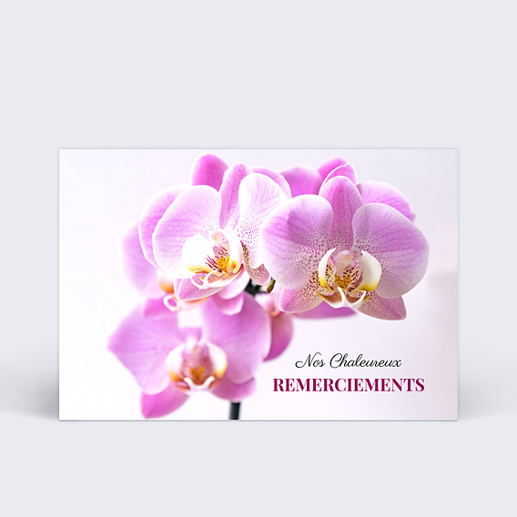 Carte remerciement décès Fleur Violette