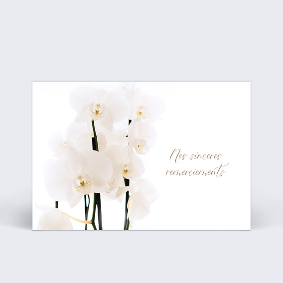 Carte remerciement décès Orchidée Blanche