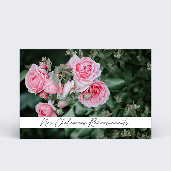 Carte remerciement décès Roses
