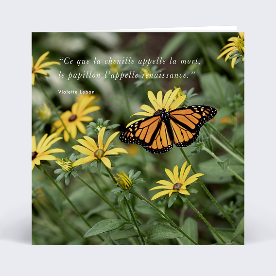 Carte remerciement décès Papillon Recto