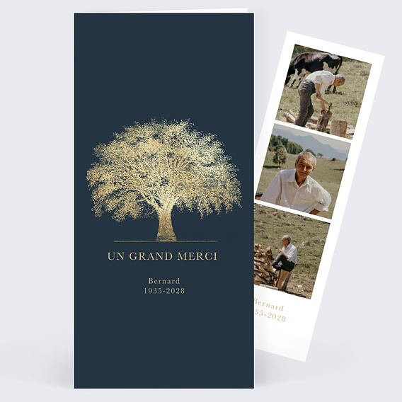 Carte remerciement décès Arbre doré