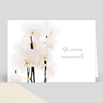 Carte remerciement décès Orchidée Blanche