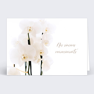 Carte remerciement décès Orchidée Blanche