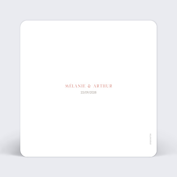 Cartes Invitation Mariage Programme Illustré