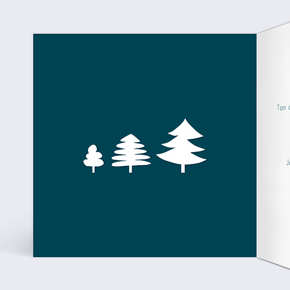 Carte de Noël Mon beau sapin