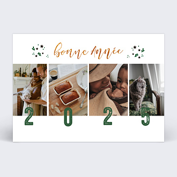 Carte de Voeux Particuliers Feuilles toiles