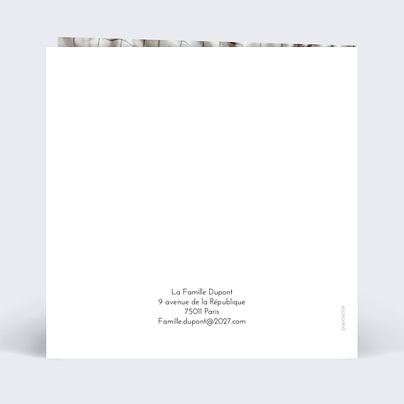 Carte de Voeux Particuliers Chic