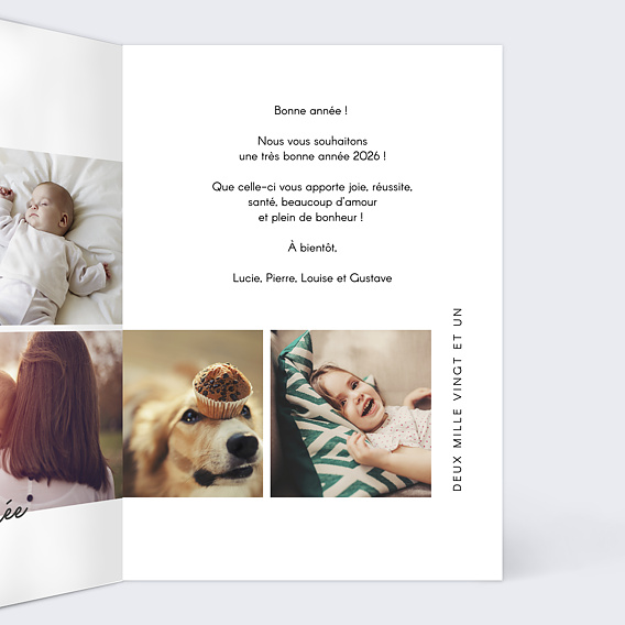 Carte de Voeux Particuliers Multiphoto Meilleurs Voeux