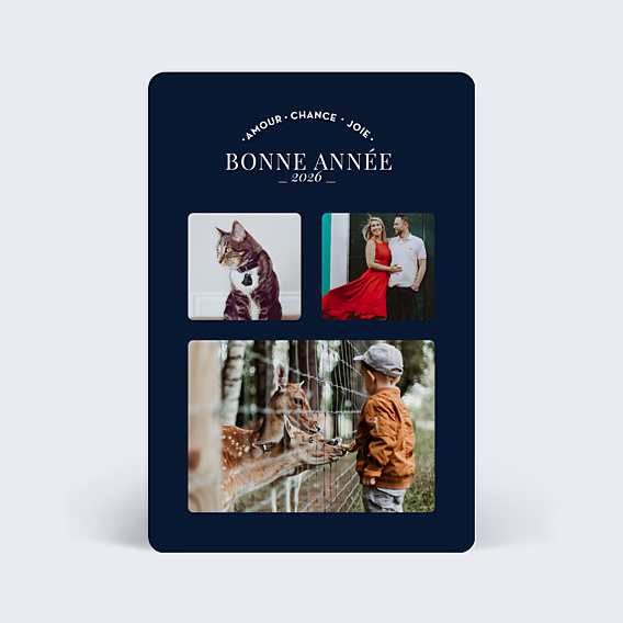 Carte de Voeux Particuliers Jolis souhaits multi