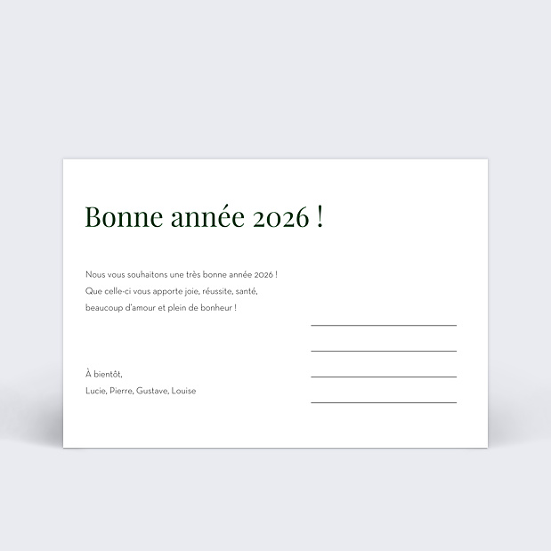 Carte de voeux Résolutions Verso