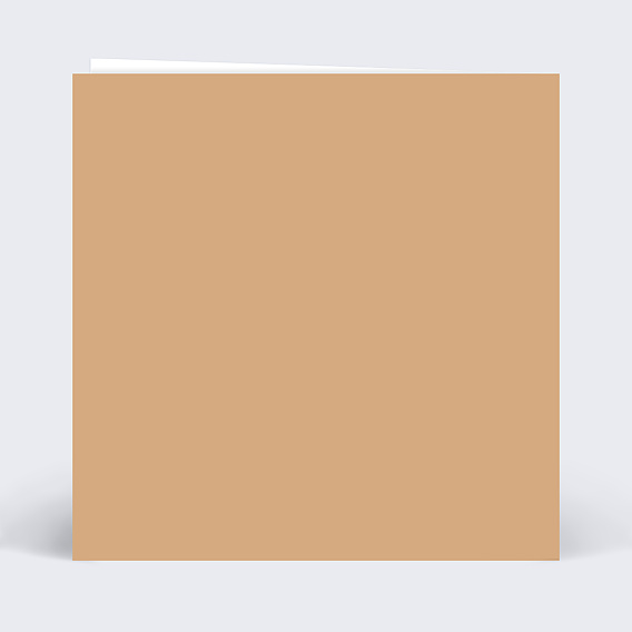 Carte de voeux Découpe Lumière Verso