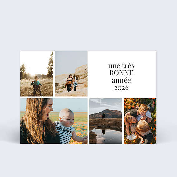 Carte de Voeux Particuliers Joli multi