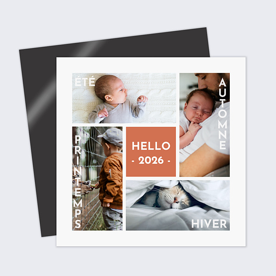 Carte de voeux Rétrospective Saisons