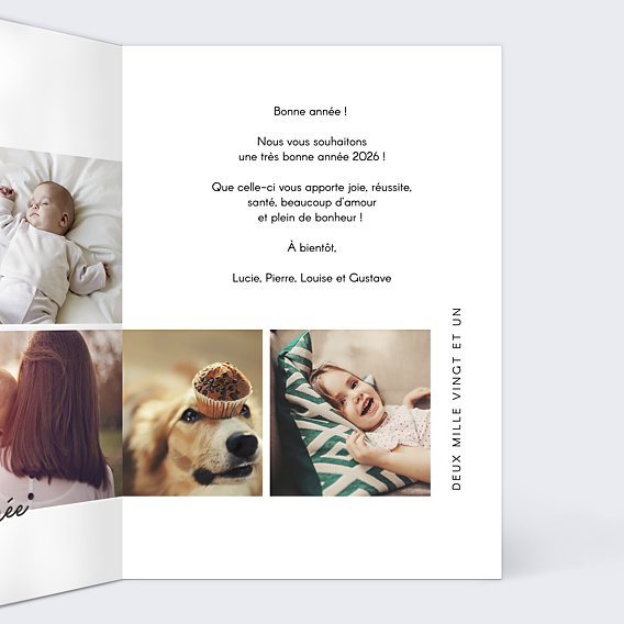 Carte de Voeux Particuliers Multiphoto Meilleurs Voeux