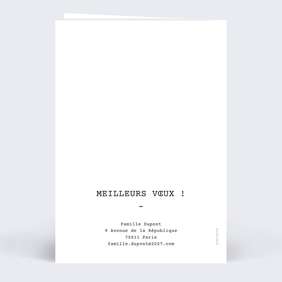 Carte de Voeux Particuliers Polaroïd Simple