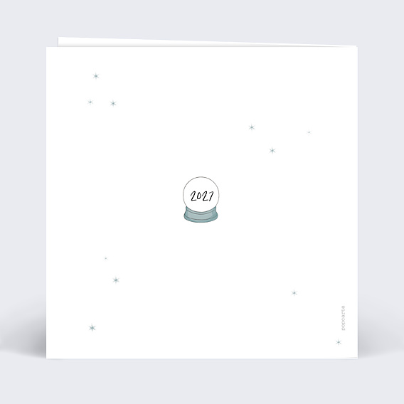 Carte de Voeux Particuliers Découpe Boule de Neige