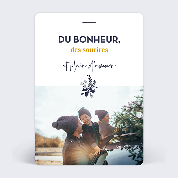 Carte de Voeux Particuliers Branche de houx