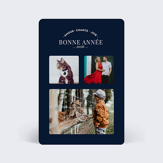 Carte de Voeux Particuliers Jolis souhaits multi