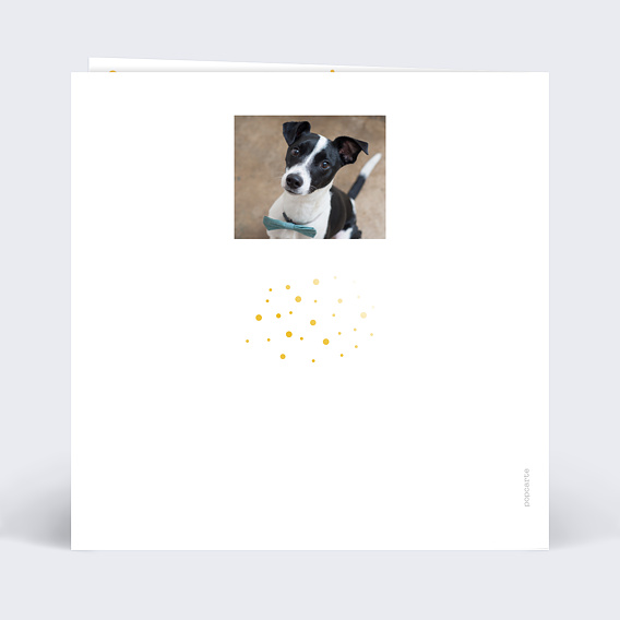 Carte de voeux Dorure pois année Verso