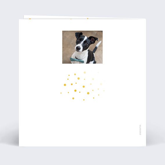 Carte de Voeux Particuliers Dorure pois année