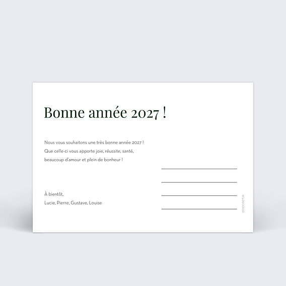 Carte de Voeux Particuliers Resolutions