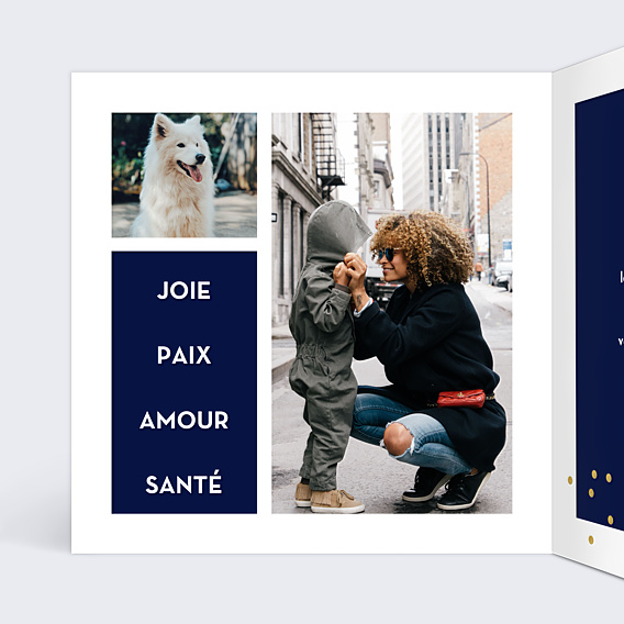 Carte de Voeux Particuliers Multiphoto Bleu