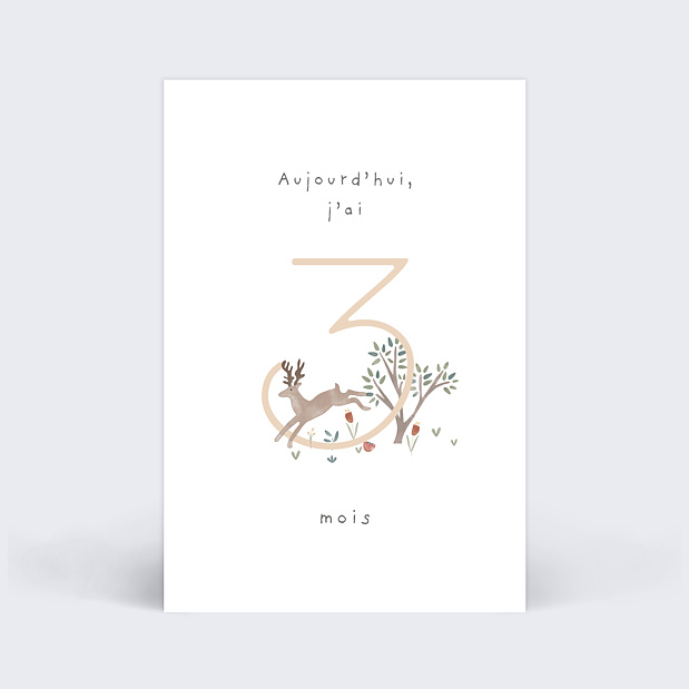 Cartes Étapes Bébé Petit Sous-bois Carte 4