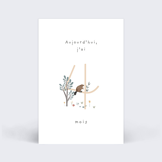Carte Étape Bébé Petit Sous-bois