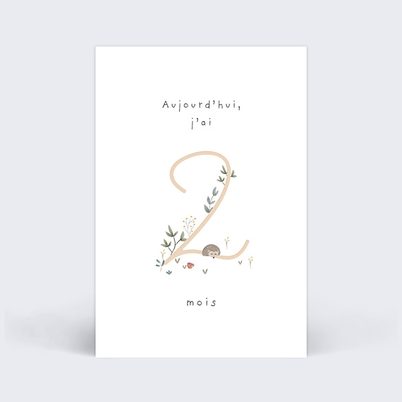 Carte Étape Bébé Petit Sous-bois
