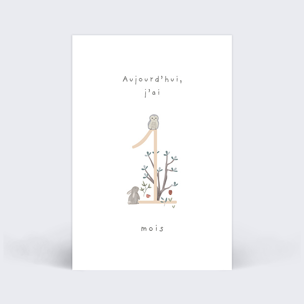Cartes Etapes Bebe Petit Sous Bois Popcarte Cartes Etapes Bebe Petit Sous Bois Popcarte