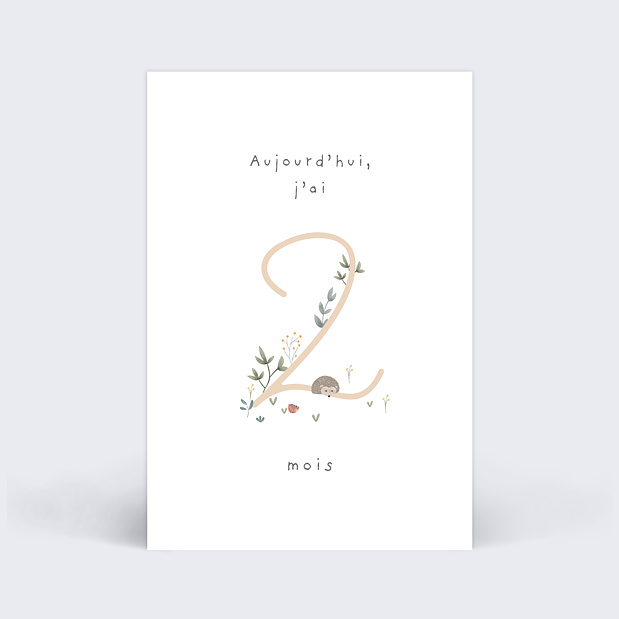 Cartes Étapes Bébé Petit Sous-bois Carte 3