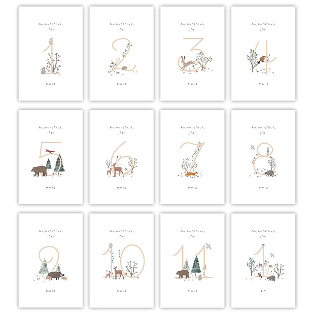 Cartes Étapes Bébé Petit Sous-bois