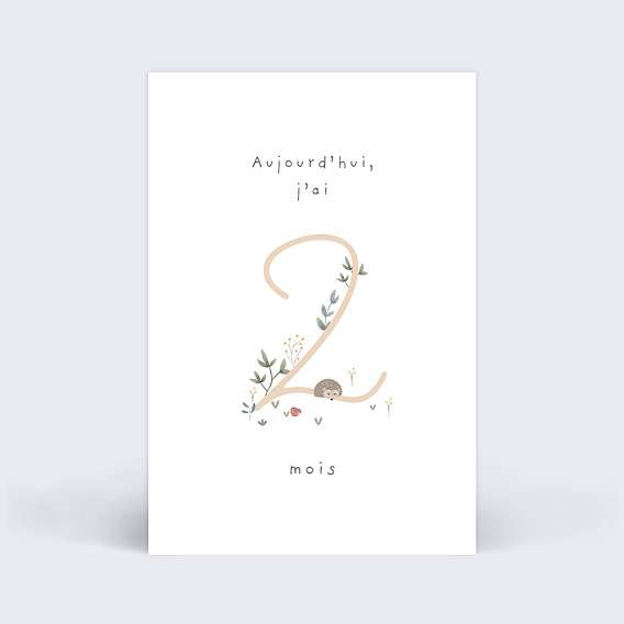 Carte étape bébé Petit Sous-bois Carte 3