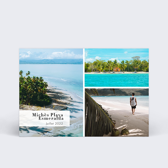 Carte Collaboration Bandeau - Michès Playa Esmeralda