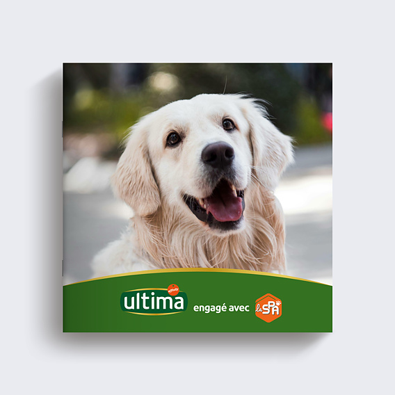 Carte Collaboration Ultima