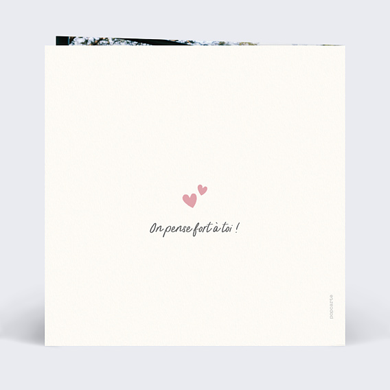 Carte amitié Deux Paresseux Verso