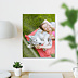 Poster Photo sur plexiglas
