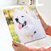 Poster Photo sur toile