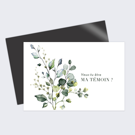 Demande de Témoin Petit Herbarium