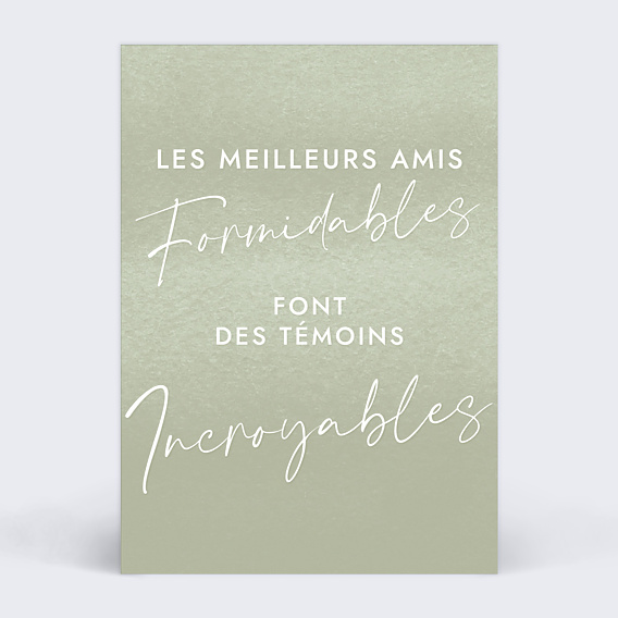 Demande de témoin Amis Formidables