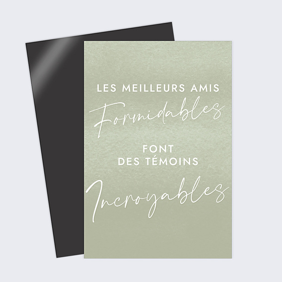 Demande de Témoin Amis Formidables