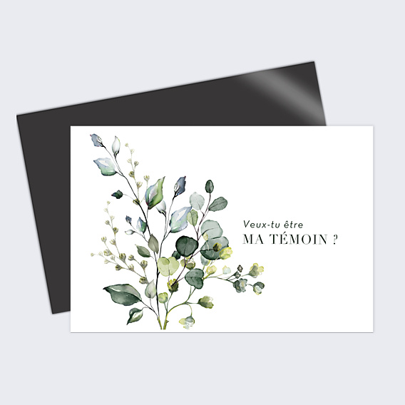 Demande de Témoin Petit Herbarium