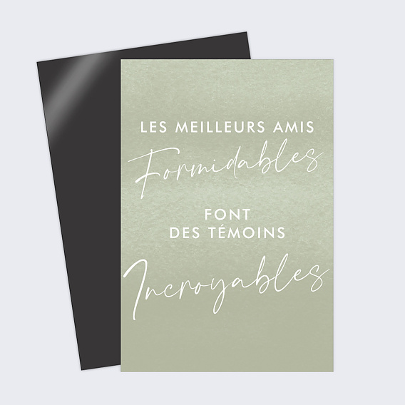 Demande de témoin Amis Formidables