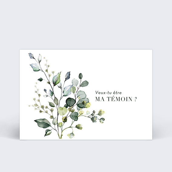 Demande de Témoin Petit Herbarium