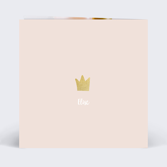 Demande parrain marraine Cygne Verso