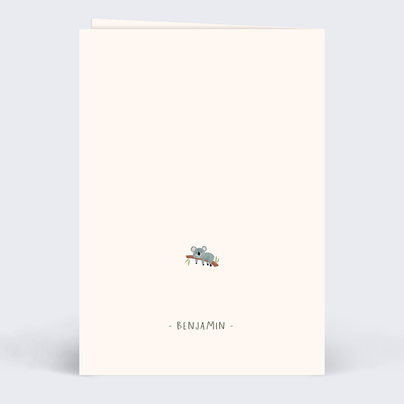 Demande parrain marraine Petite Jungle Verso