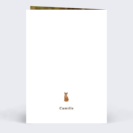 Demande parrain marraine Frise Renard Verso