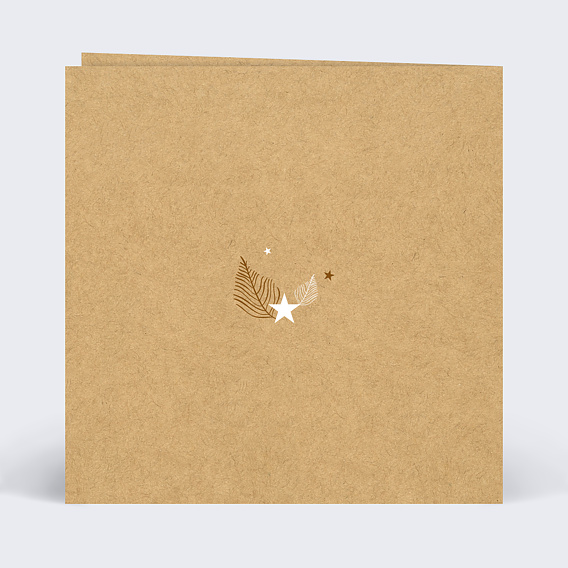 Demande de témoin Tourbillon d'Étoiles Verso