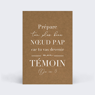 Demande de Tmoin Bohme Homme